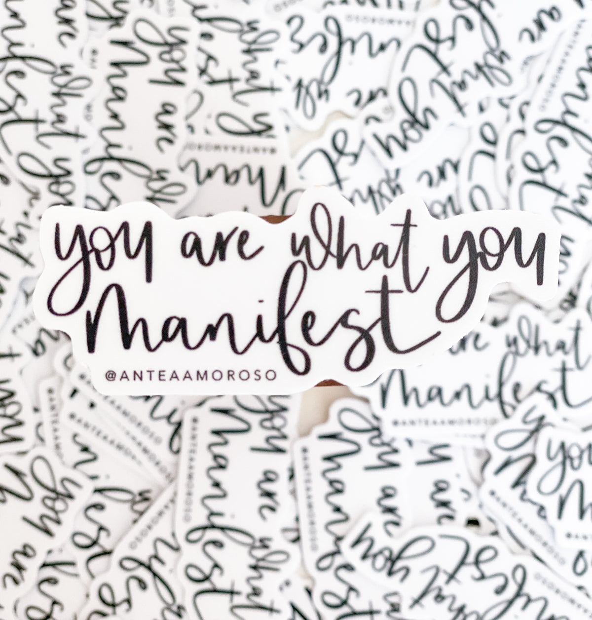 Vinyl Sticker - You Are What You Manifest